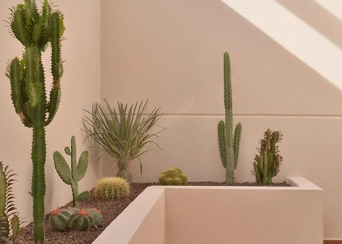 Villa Mareterra - Designer & Peaceful Retreat- Pool- Bbq-beach At 10 Minutes