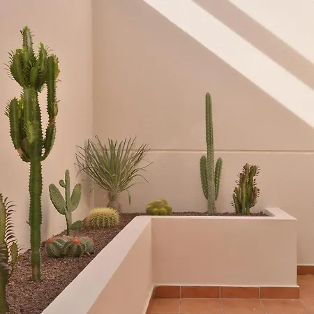 Villa Casa Mareterra - Design With Pool, Ideal For Families & Groups